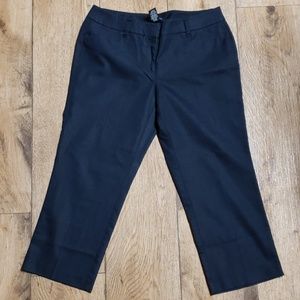 New York and Company Stretch Capris/Trousers